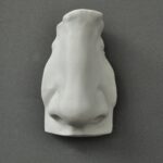 Michelangelo's David Nose plaster cast