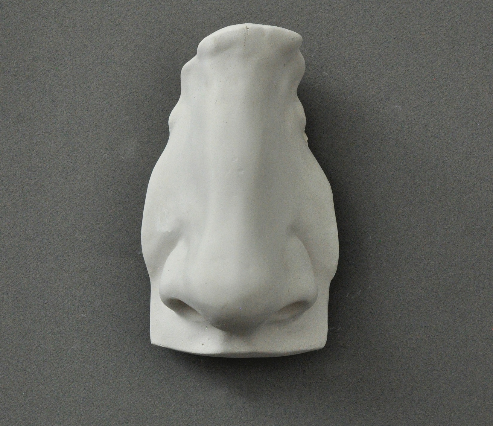 Plaster cast of Michelangelos David nose, used in traditional drawing courses
