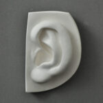 Michelangelo's David Ear I plaster cast