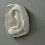 Michelangelo's David Ear II plaster cast