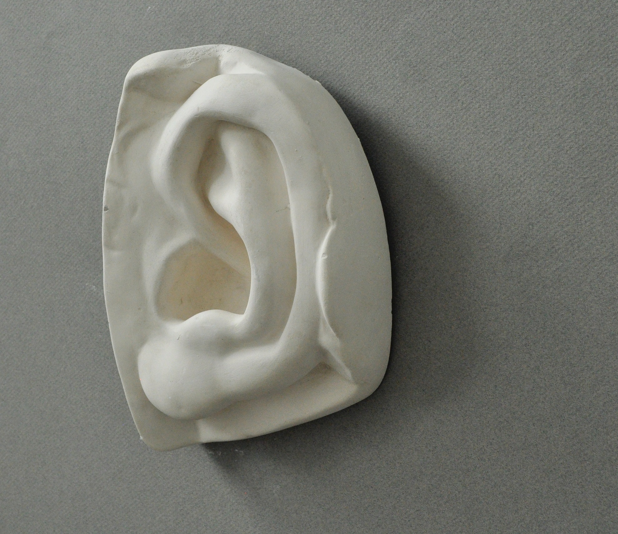 Alternative plaster cast of Michelangelos David ear from the side, used in traditional drawing courses